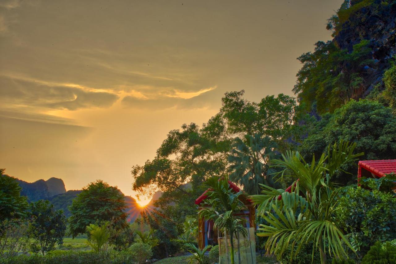 Green Mountain Homestay Ninh Bình Ngoại thất bức ảnh