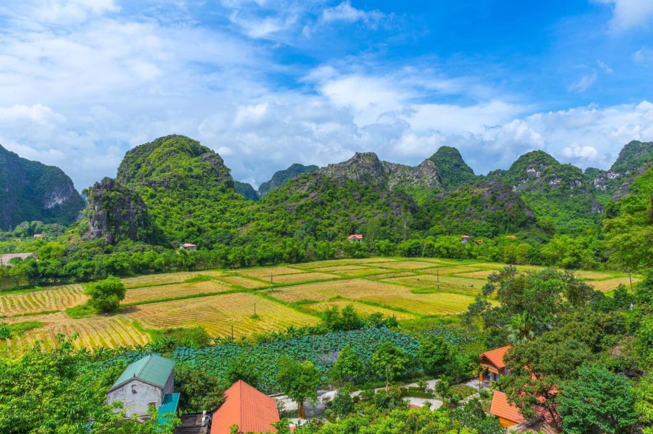 Green Mountain Homestay Ninh Bình Ngoại thất bức ảnh
