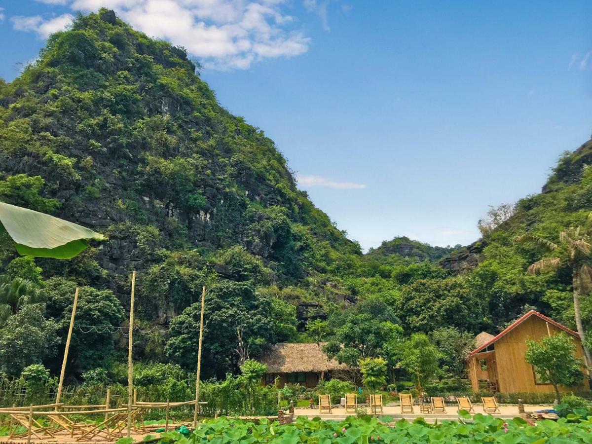 Green Mountain Homestay Ninh Bình Ngoại thất bức ảnh