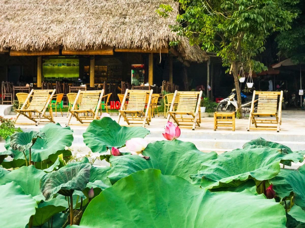 Green Mountain Homestay Ninh Bình Ngoại thất bức ảnh