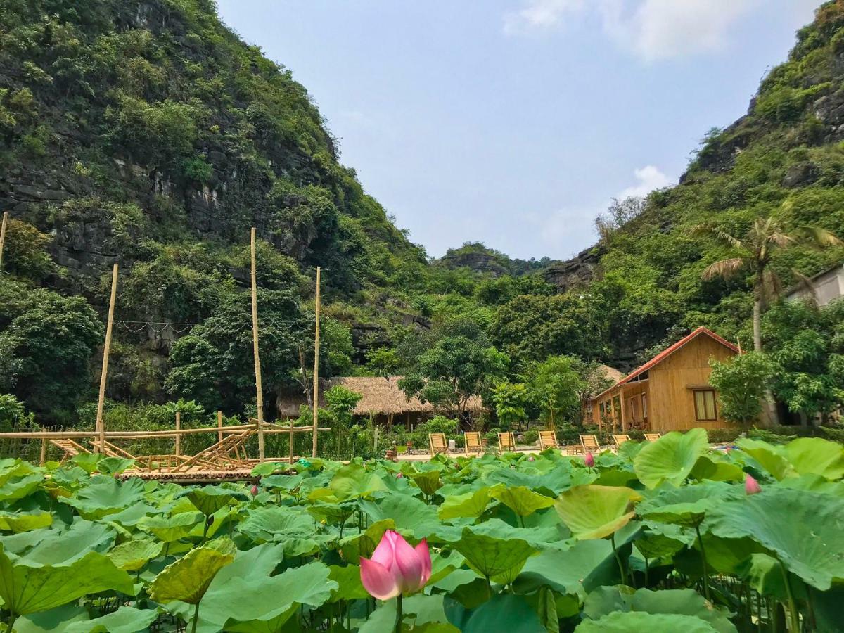 Green Mountain Homestay Ninh Bình Ngoại thất bức ảnh