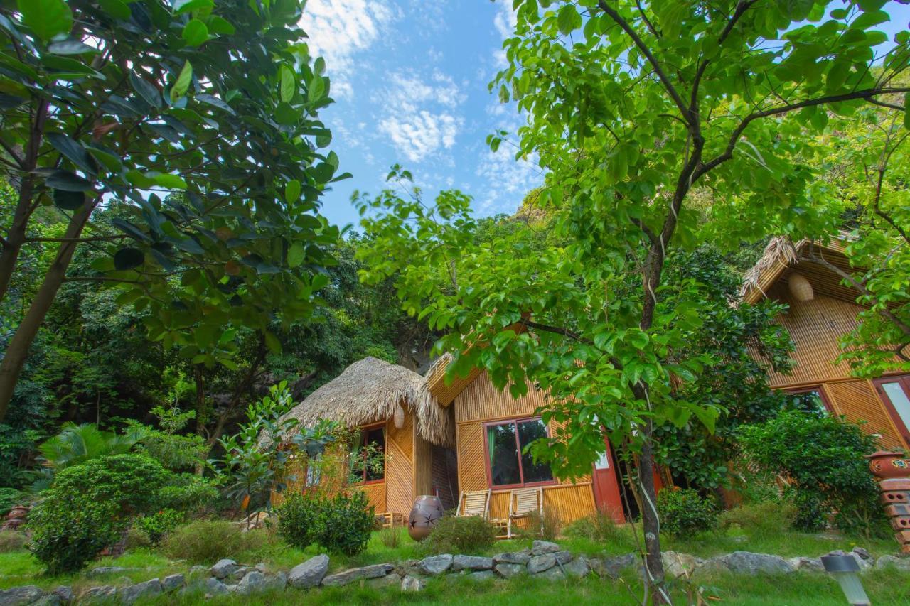 Green Mountain Homestay Ninh Bình Ngoại thất bức ảnh